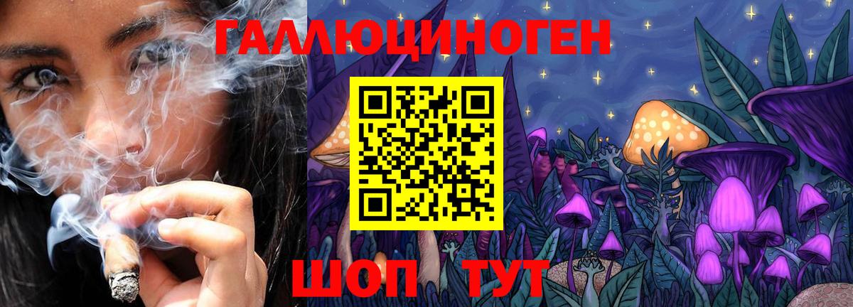 Псилоцибиновые грибы мухоморы Усть-Джегута